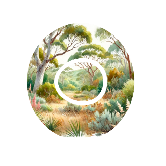 Designs for Dexcom G7