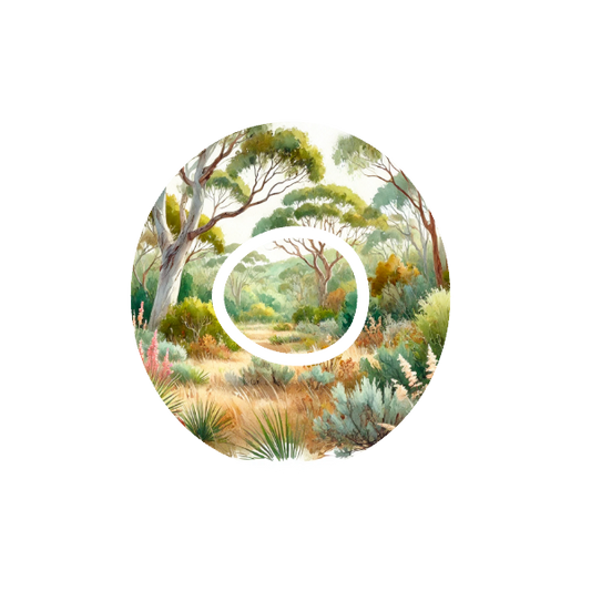 Aussie Landscape CGM patch for Dexcom One+ — watercolour Australian bush scene on white
