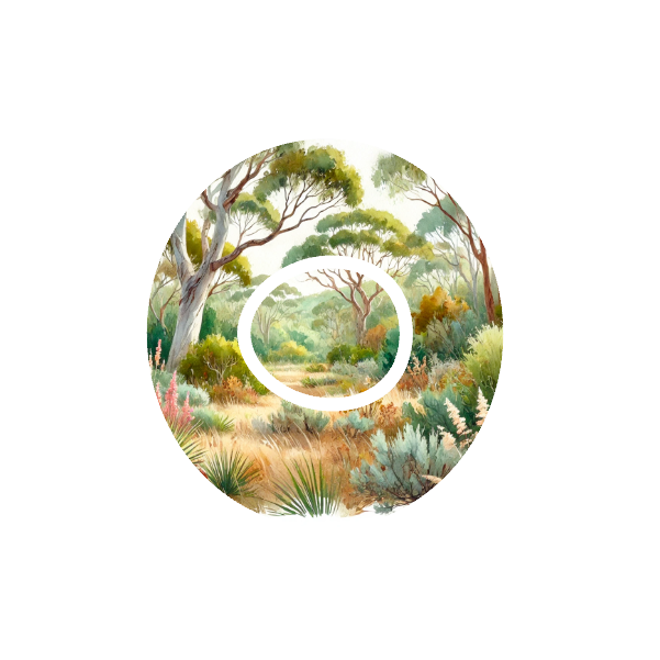 Aussie Landscape CGM patch for Dexcom G7 — watercolour Australian bush scene on white