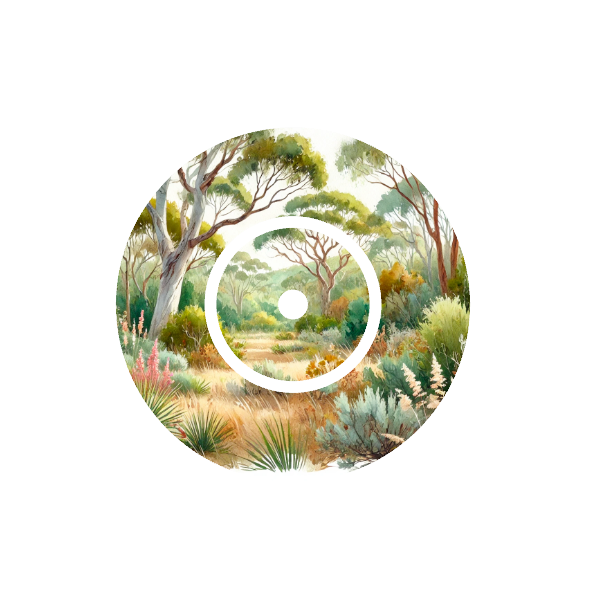 Circular design of watercolour illustration of a Australian landscape with trees and undergrowth on a white background fits CGM FreeStyle Libre 2 device.