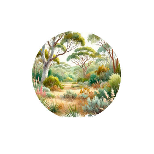 Aussie Landscapes Hug Patch featuring Australian landscapes and native scenery compatible with Medtronic Guardian 4 CGM by Stick By Me