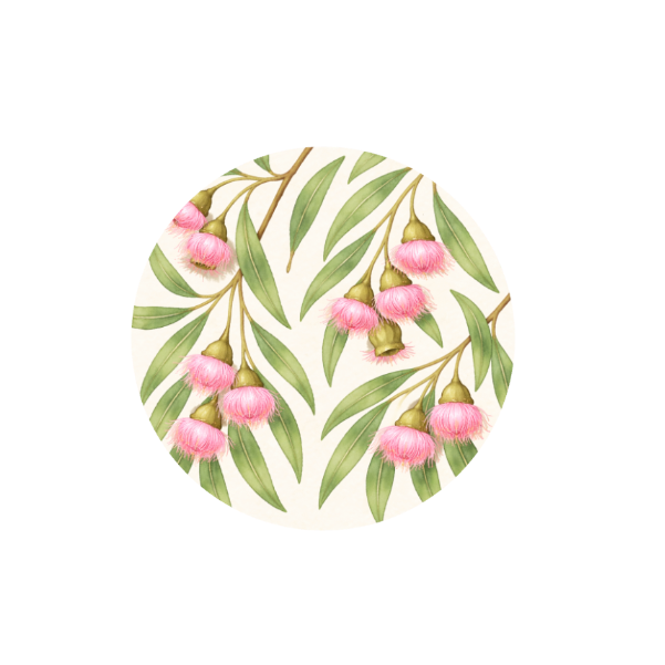 Gumnuts in Bloom Hug Patch featuring Australian gum blossoms and native foliage compatible with Medtronic Guardian 4 CGM by Stick By Me