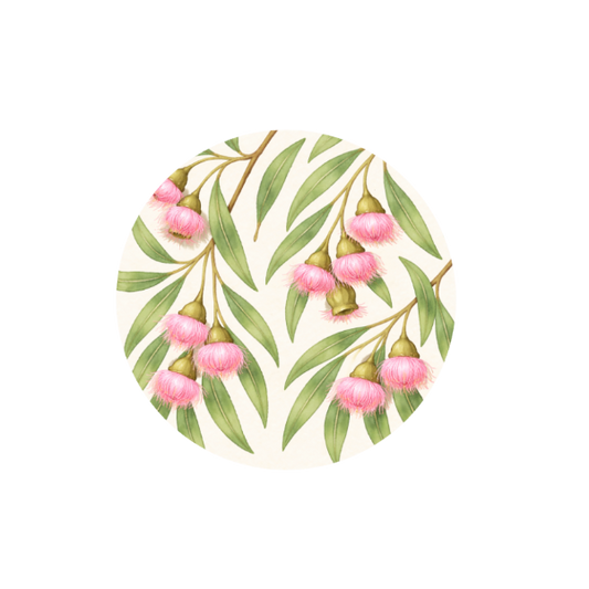 Gumnuts in Bloom Hug Patch featuring Australian gum blossoms and native foliage compatible with Medtronic Guardian 4 CGM by Stick By Me