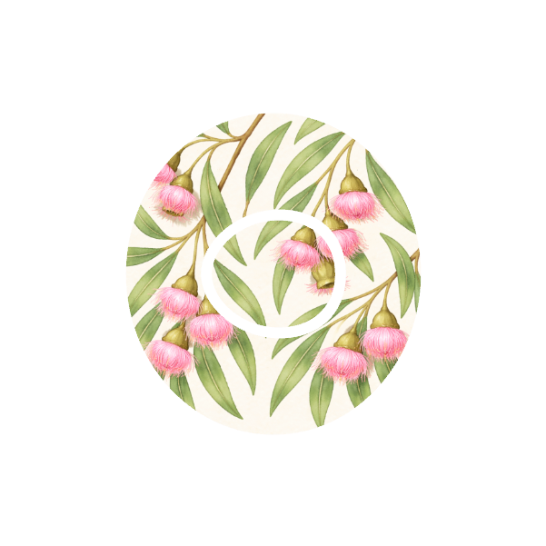 Gumnuts in Bloom CGM patch for Dexcom One+ — soft pink eucalyptus flowers and green leaves on white