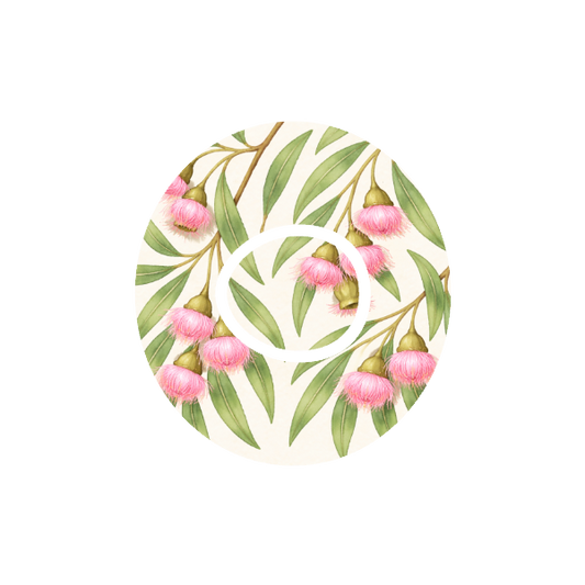 Gumnuts in Bloom CGM patch for Dexcom One+ — soft pink eucalyptus flowers and green leaves on white